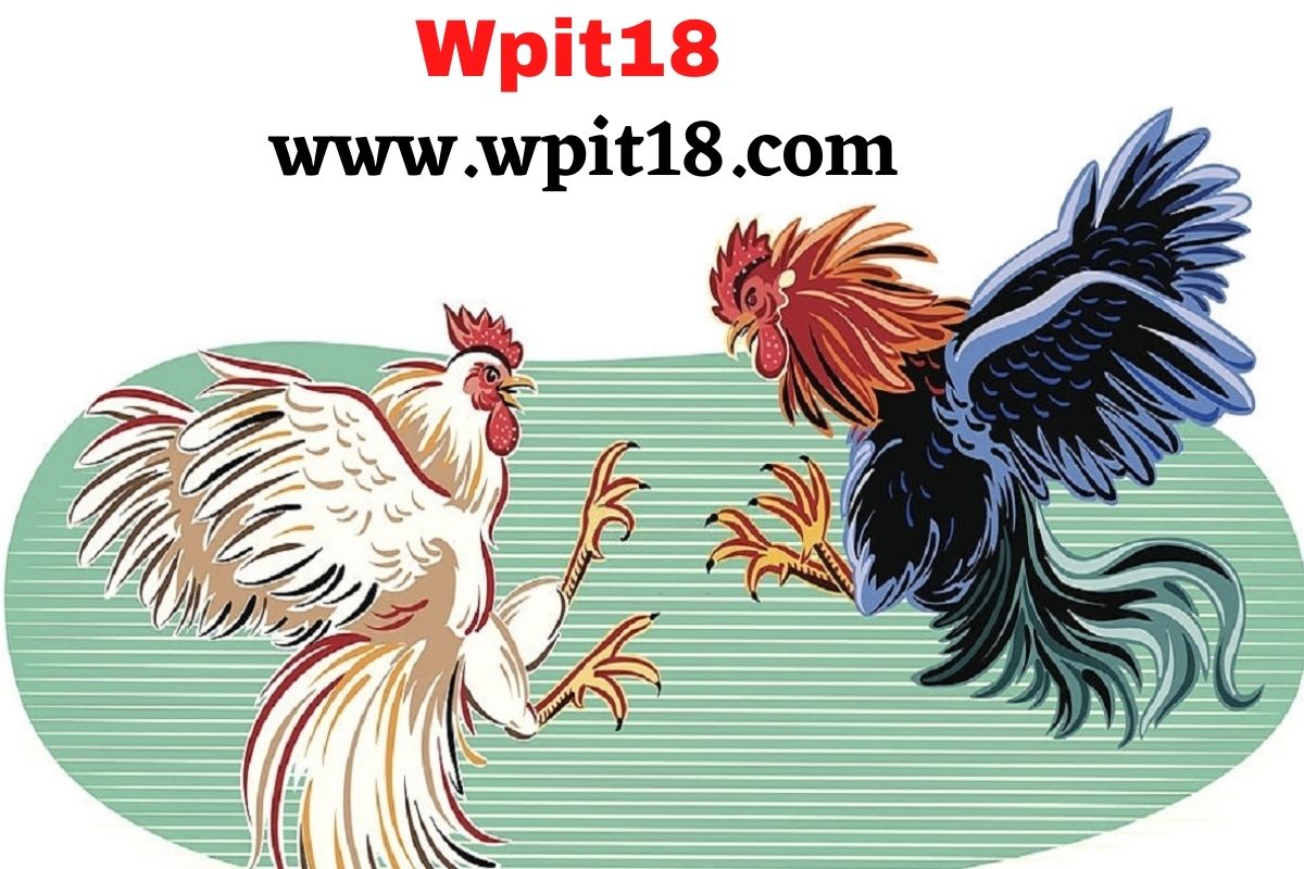 wpit18, wpit18.com login, wpit18 login, wpit18 dashboard, wpit18 com dashboard, wpit18.com log in, wpit18 com registration, wpit18. com login, wpit18 online sabong, wpit18 live, wpit18 com, wpit18 com register, https //wpit18.com/dashboard, wpit18.com, wpit18 sabong, wpit18 register, wpit18.com/dashboard, wpit18 dashboard login, wpit18 com dashboard login, wpit18.com/login, wpit18 l dashboard login, wpit18 l dashboard, wpit18 registration, wpit18 com registration agent, wpit18 online sabong log in, wpit18., wpit18 online, wpit18 com register online registration, wpit18 online sabong live, wpit18 online sabong registration, wpit18 com register online, wpit18 login page, wpit18 com login, wpit18 sabong live, wpit18 com log in, wpit18 com register refid, wpit18 com registration 2020 philippines, https //wpit18.com login, wpit18.com dashboard login, wpit18 com registration login, wpit18 com registration 2021 philippines, wpit18.com reviews, wpit18 com admin agentadmin walletstation, wpit18. com, wpit18 owner, https://wpit18.com/dashboard, wpit18 com registration 2021, wpit18.com.dashboard, wpit18 sabong login, wpit18 sign in, wpit18 login password, wpit18.com dashboard, wpit18 login dashboard, wpit18 sabong online, wpit18/login, wpit18/dashboard, wpit18 sabong live 2020, wpit18 login register, wpit18.com register, wpit18 dashboard manual, https //wpit18.com/register login, https wpit18 com dashboard, wpit18 live login, wpit18 net, wpit18 sabong live today, wpit18 forgot password, wpit18.dashboard, wpit18 online sabong dashboard, wpit18 log in, wpit18 com registration 2020, wpit18 l, wpit18..com/login, wpit18 online sabong live today 2021, wpit18.com online sabong, wpit18 sabong live today 2021, wpit18 reset password, wpit18.con/login, wpit18 2029, wpit18.net dashboard, wpit18.con/dashboard, wpit18 com registration form, wpit18.com sign in, wpit18 2027, wpit18.login, wpit18 logo, wpit18 pitmaster, www wpit18 com forgot password, wpit18.com login php, wpit18 app download, wpit18 app, wpit18.net, wpit18 customer service, whttps //wpit18.com/dashboard, wpit18 sabong live now, wpit18.com log in ph, wpit18 sign up, wpit18.com login dashboard, reset password wpit18, wpit18 legal, wpit18 dashboard manual pdf,